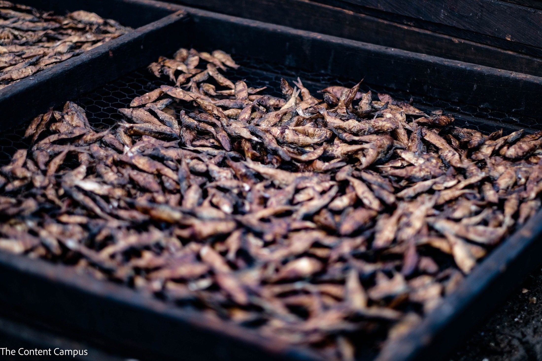 Small smoked fish are piled on a wire-mesh drying tray with dark wooden sides, lit softly with shallow focus.